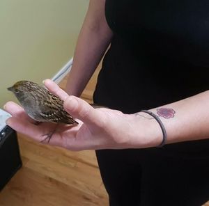 Meet your Posher, Milky